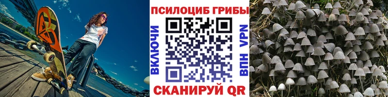 даркнет сайт  мега ТОР  Галлюциногенные грибы Psilocybine cubensis  Кашира 